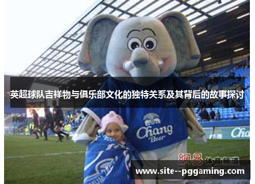 英超球队吉祥物与俱乐部文化的独特关系及其背后的故事探讨 英超球队吉祥物与俱乐部文化的独特关系及其背后的故事探讨