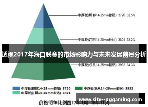 透视2017年海口联赛的市场影响力与未来发展前景分析