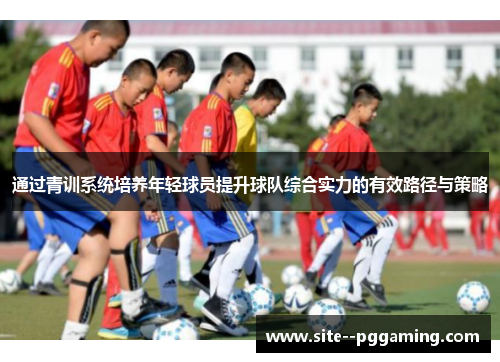 通过青训系统培养年轻球员提升球队综合实力的有效路径与策略