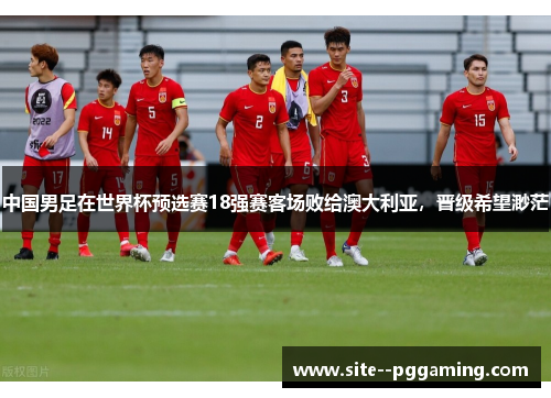 中国男足在世界杯预选赛18强赛客场败给澳大利亚，晋级希望渺茫