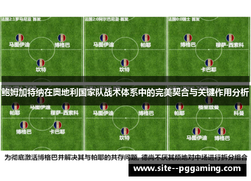 鲍姆加特纳在奥地利国家队战术体系中的完美契合与关键作用分析