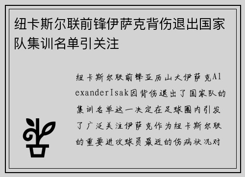 纽卡斯尔联前锋伊萨克背伤退出国家队集训名单引关注